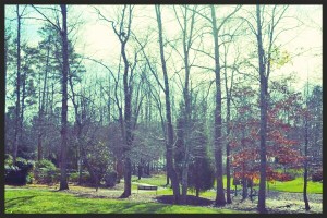 And last but not least, the view from our back windows & yard - the gateway trails and lake we'll be be spending so much time with!